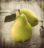 Схема для вышивания Байденко Инна (cabrin) #41343