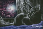 Схема для вышивания Раманова Елена (Химера) #41883