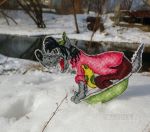 Схема для вышивания Григорьева Надежда (mandarinks) #42787