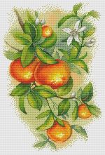 Схема для вышивания Подкопаева Ирина (Арюша) #44562