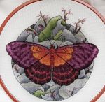 Схема для вышивания Тарасова Екатерина (Rin-Stitch) #45571