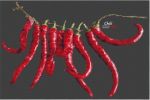 Схема для вышивания Перченко Екатерина (Chili) #47873