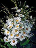 Схема для вышивания Барышникова Людмила (avtor-shem) #4796