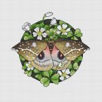 Схема для вышивания Тарасова Екатерина (Rin-Stitch) #48690