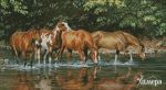 Схема для вышивания Раманова Елена (Химера) #49043