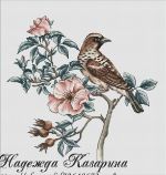 Схема для вышивания Казарина Надежда #49292