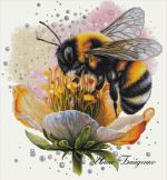 Схема для вышивания Байденко Инна (cabrin) #49892