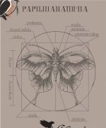 Схема для вышивания Рамайкина Екатерина (Альвейг) #51384