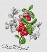Схема для вышивания Арнаутова Анастасия #52360