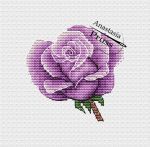 Схема для вышивания Прусс Анастасия #54170