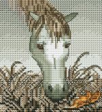 Схема для вышивания Андриевская Полина #54289