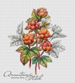 Посты с сайта stitch.su