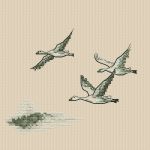Схема для вышивания Окнеас Алиса #56767