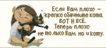 Схема для вышивания Ющук Любовь (mully) #5960