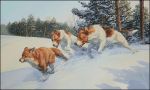 Схема для вышивания Bozenka #6855