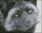 Схема для вышивания Джонс Екатерина #8940