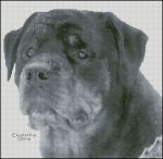 Схема для вышивания Джонс Екатерина #8964