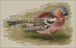 Схема для вышивания Слободяник Лариса (stitchdesigns) #9151