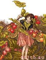 Набор для вышивания DMC BL169-56