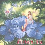 Набор для вышивания Candamar 51155