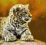 Набор для вышивания Kustom Krafts 99457