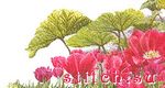 Набор для вышивания Thea Gouverneur 432