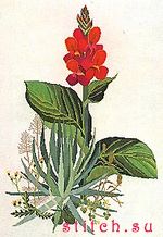 Набор для вышивания Thea Gouverneur 846