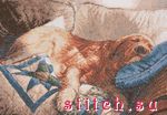 Набор для вышивания Bucilla 43474