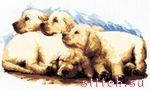 Набор для вышивания Кларт 5-059