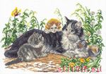 Набор для вышивания Чудесная игла В-036 (5804)