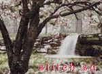Набор для вышивания Bucilla 45185