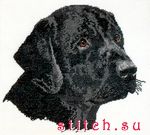 Набор для вышивания Anchor CC75972