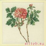 Набор для вышивания Anchor RHS07