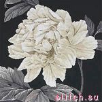 Набор для вышивания Anchor 01083