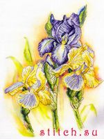 Набор для вышивания Orchidea 8096
