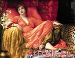 Набор для вышивания Solaria Gallery 8111-49