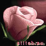 Набор для вышивания Solaria Gallery 3111-41