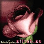 Набор для вышивания Solaria Gallery 3111-40