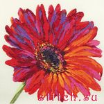 Набор для вышивания Anchor 01152