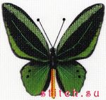 Набор для вышивания Золотое Руно УР-006