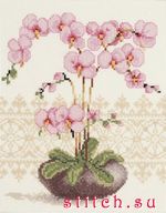 Набор для вышивания Vervaco 75351 (PN-0012173)