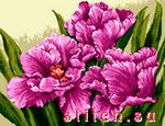 Набор для вышивания Goblenset 868