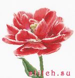 Набор для вышивания Thea Gouverneur 520