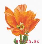 Набор для вышивания Thea Gouverneur 523