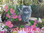Набор для вышивания Butterfly 725