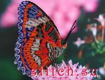 Набор для вышивания Butterfly 102