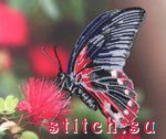 Набор для вышивания Butterfly 103