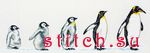 Набор для вышивания Anchor PCE751