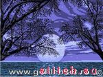 Набор для вышивания Goblenset 973