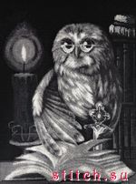 Набор для вышивания Alisena 1195